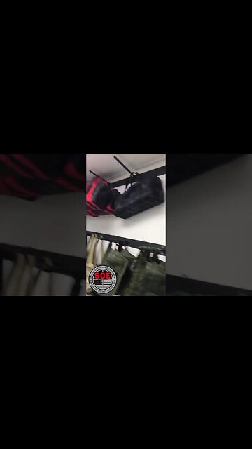 John Willis' expert advice on Valentines Day #shorts #youtubeshorts #valentinesday #love #lovestory