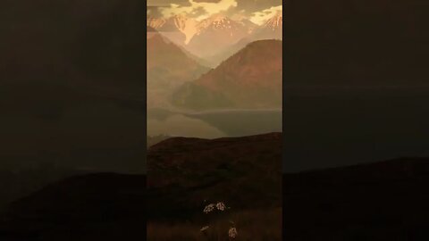 Such a beautiful game #gaming #fishingadventures #subscribe