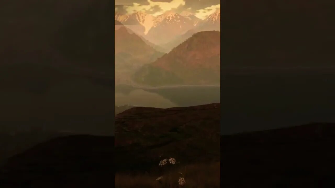 Such a beautiful game #gaming #fishingadventures #subscribe