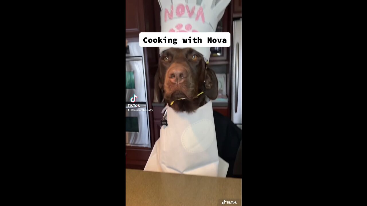 Chef Nova