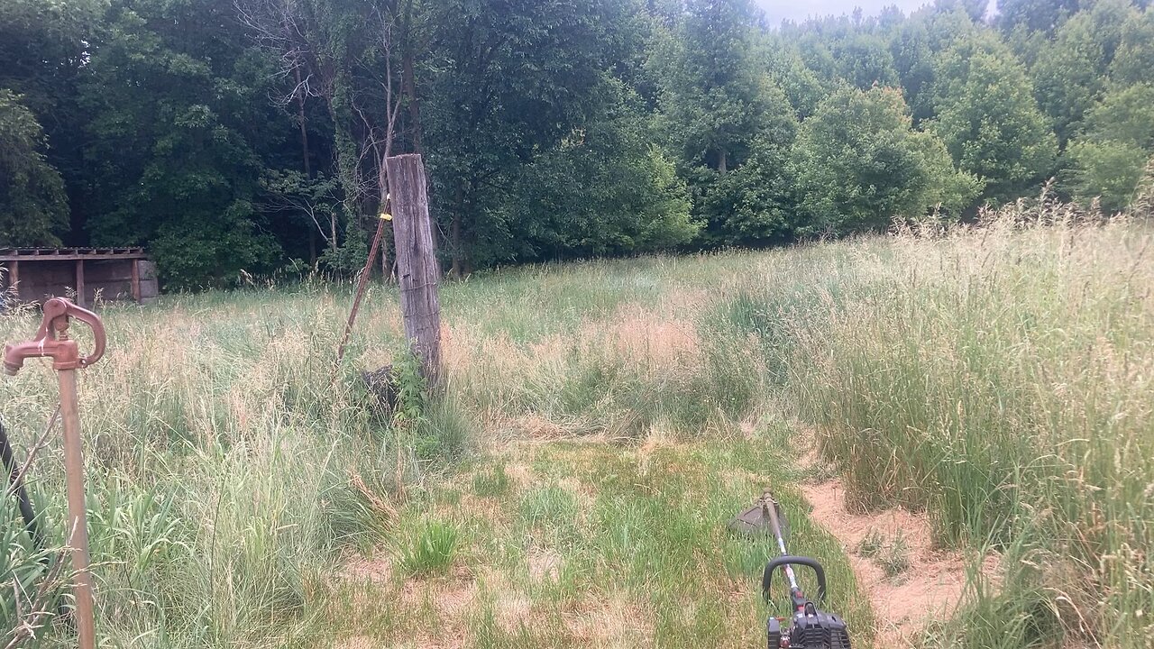 Brush hogging with weed whip and push mower