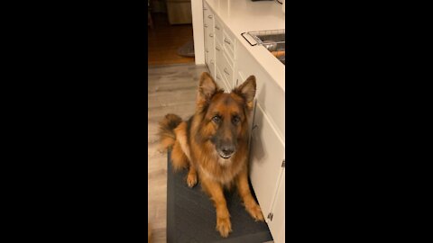 Treat time!