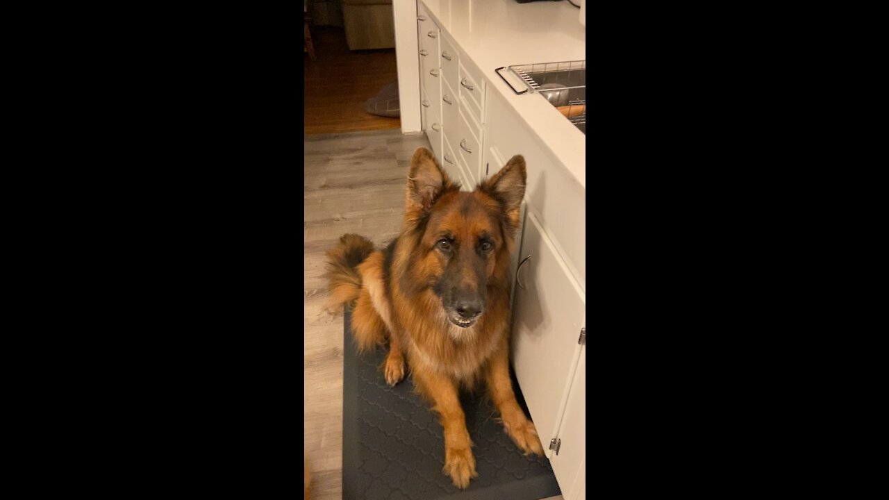 Treat time!