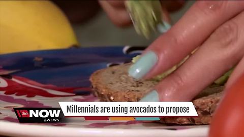 Avocado proposals
