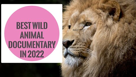 Best wild animal in 2022.