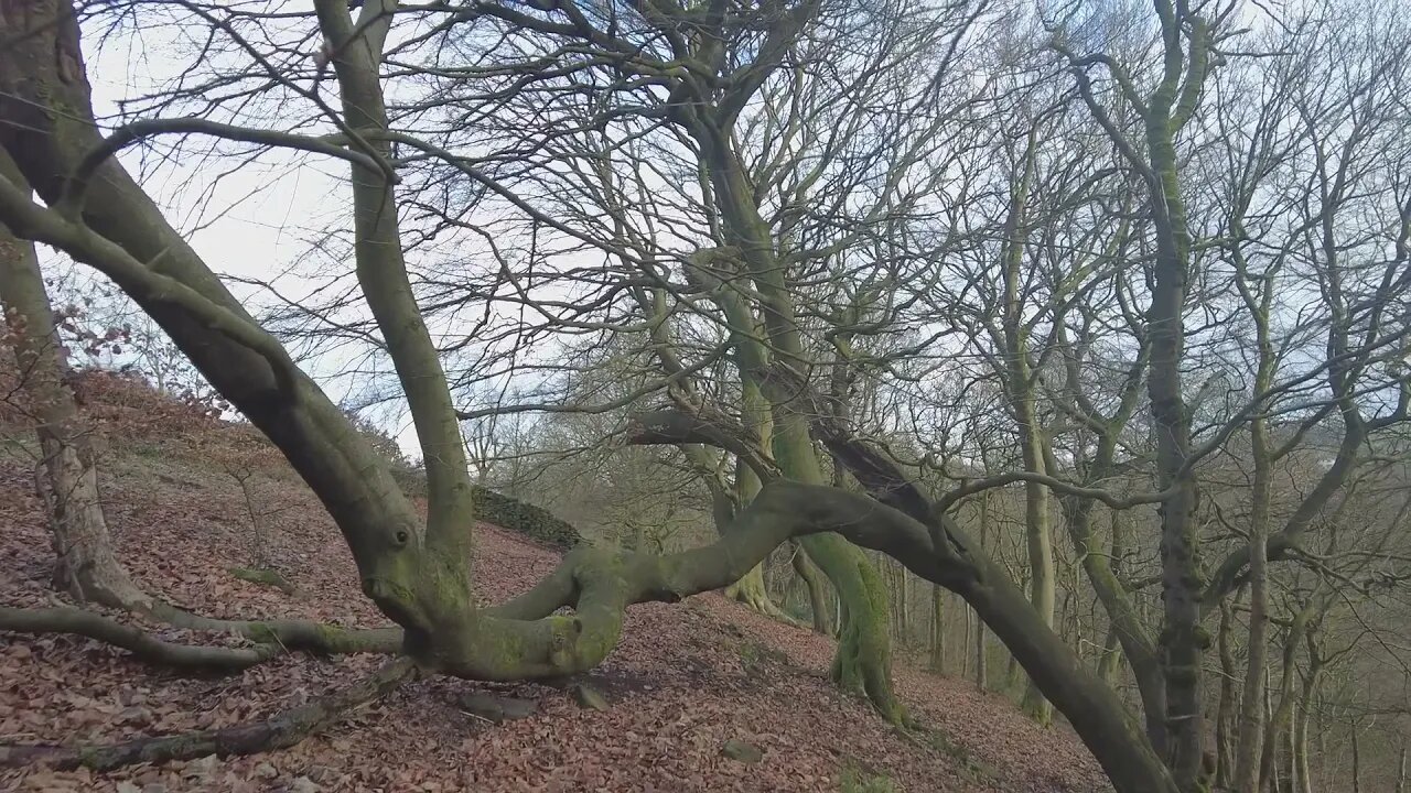 Walk along the top of Slowit looking down on the Huddersfield Narrow Cannel and the River Colne