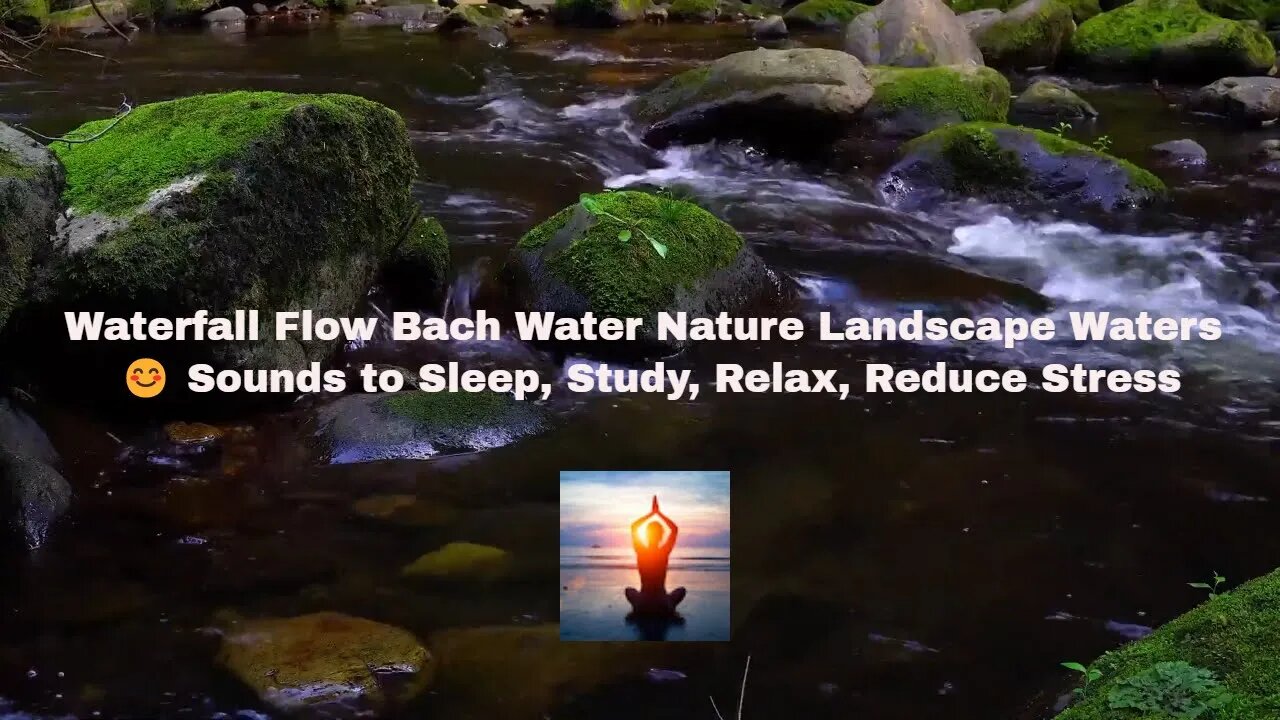 Waterfall Flow Bach Water Nature Landscape Waters 😊 Sounds to Sleep, Study, Relax, Reduce Stress