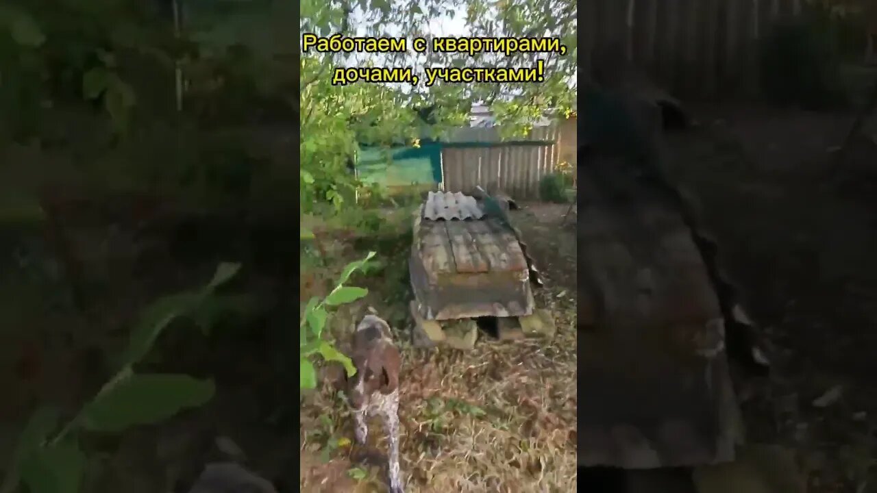 Продается небольшой домик на 12 сотках земли #краснодарскийкрай #агенствонедвижимости #домнаюге