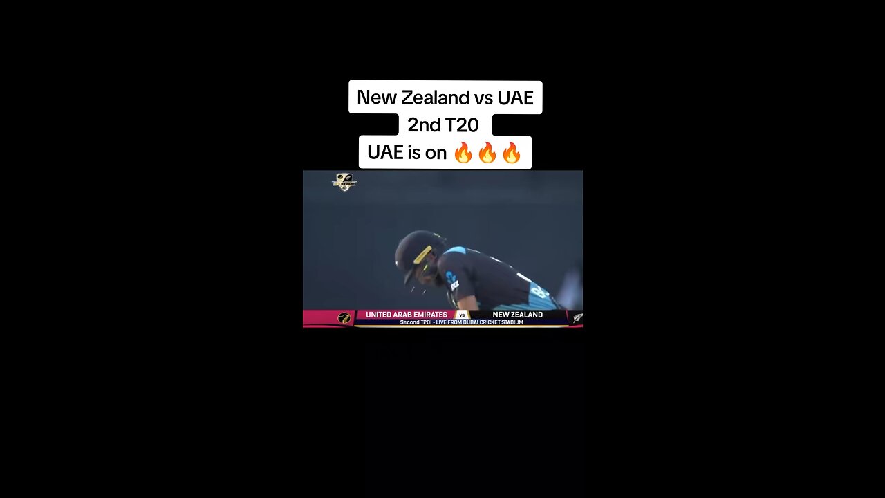 Nz vs UAE 2nd T20 Highlights