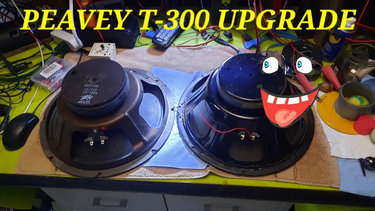 Peavey T-300 speaker replacement✌👍🍟📺👀🧂