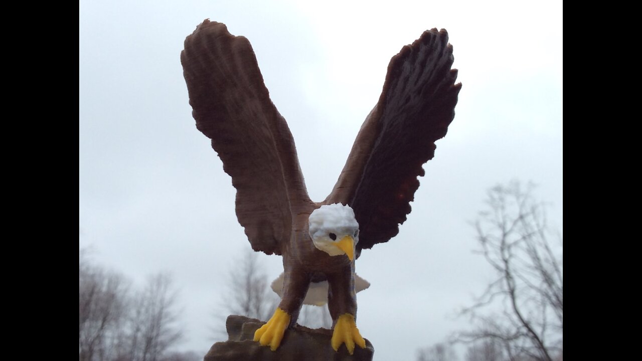 3D Printed Eagle