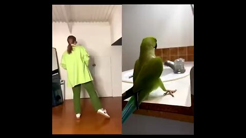 Best Dance 💃 🦜