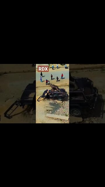 Which Hollywood Movie Scene ?