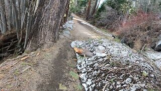 Lake Tahoe | Vikingsholm Trail