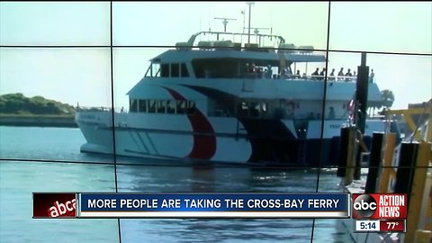 Cross-Bay Ferry sees increased ridership this season