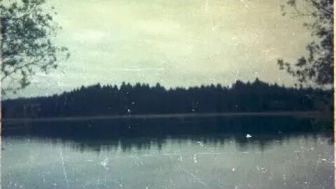 Rivolta: "Go and Then You're Gone" (2008)