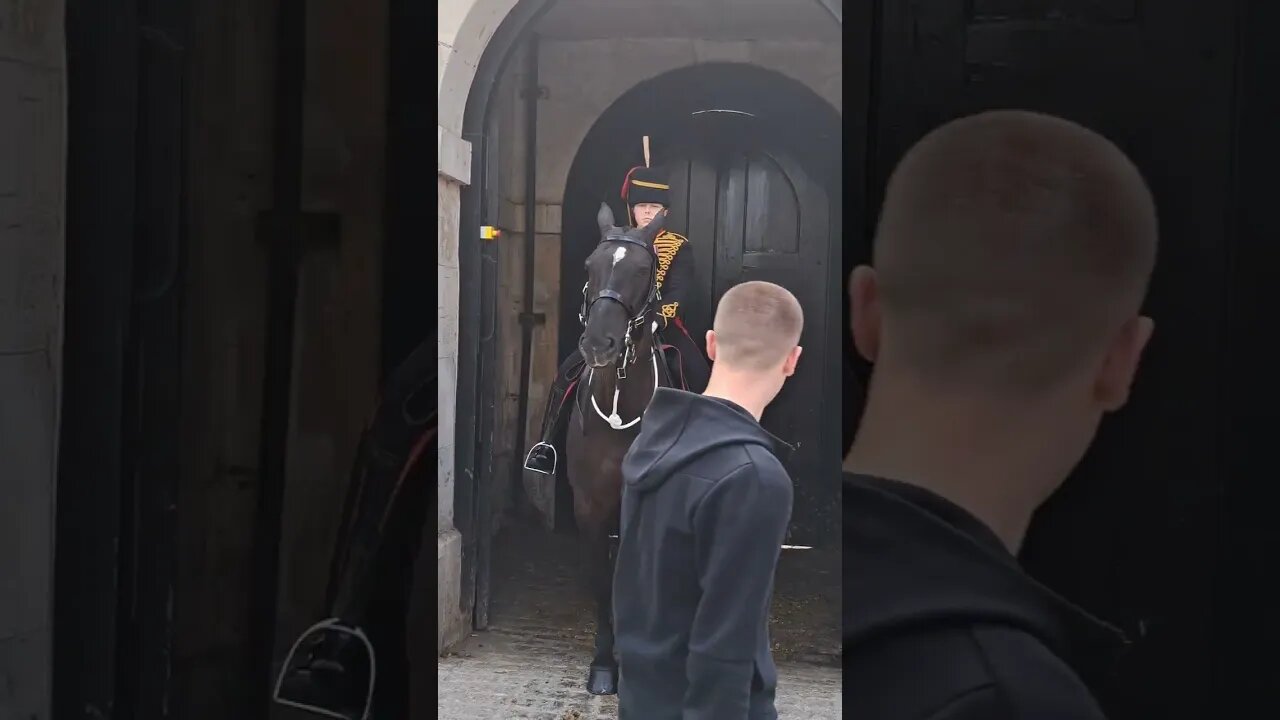 This tourist is bright #horseguardsparade