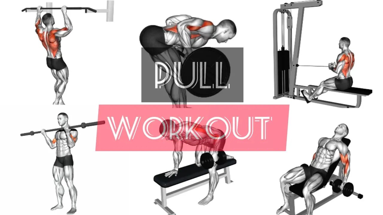 Pull workout (back/biceps)