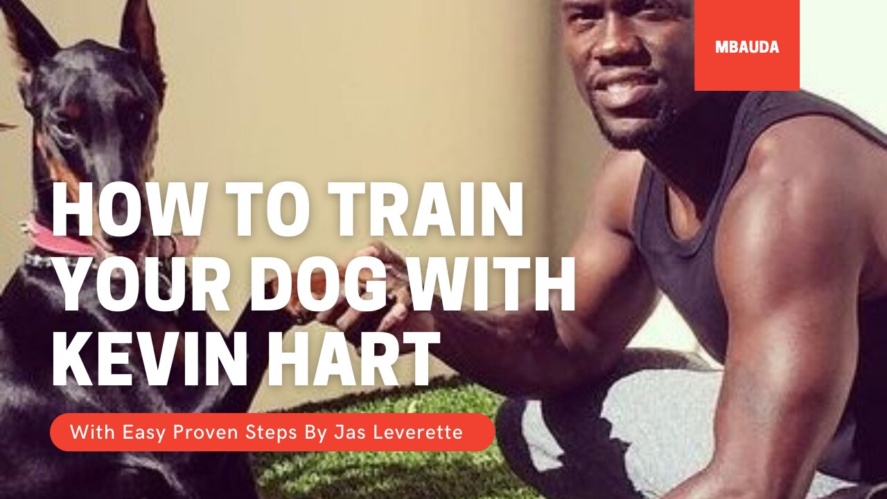 Cali K9 Dog Training with Kevin Hart and Jason Darulo