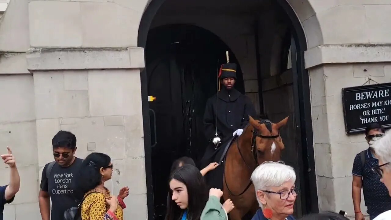 Scared tourist and posing with the reins #horseguardsparade