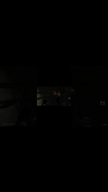 The Most Helpful Companion In Stalker Anomaly #stalkeranomaly #gaming #memes #shorts #shorts30