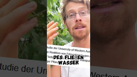 Warum wachsen Pflanzen richtung Wasser