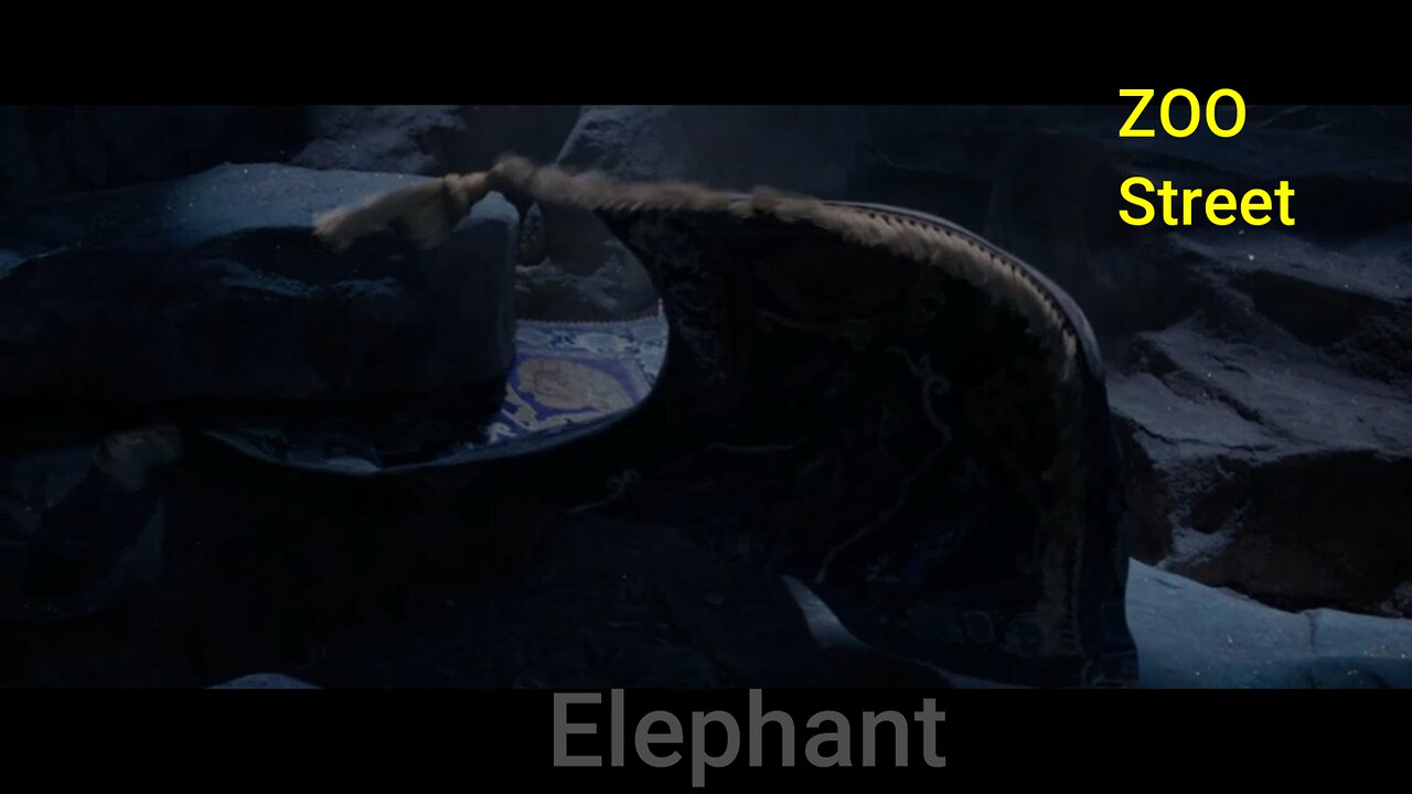 Zoo Street: Live Action Aladdin: Elephant Magic Carpet.