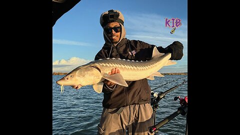 California Delta Sturgeon Fishing