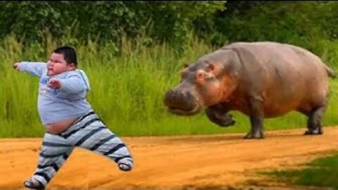 Try to don't cry from laughing