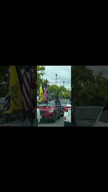 Rocklin CA - Triggered individual starts egging cars and backs into a car, then tries to flee.