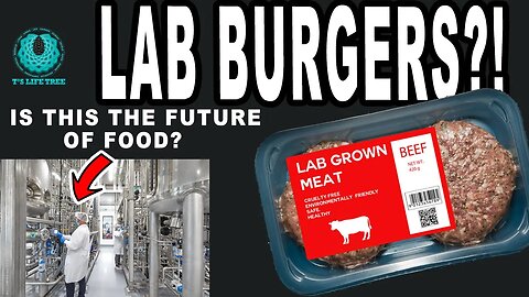 Lab Grown Meat Approved in the USA