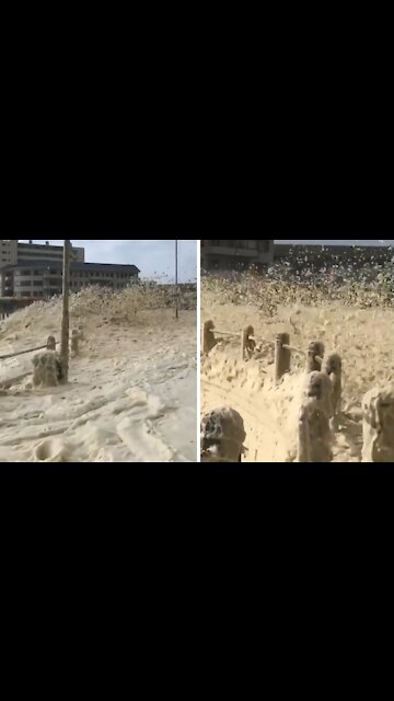 Stormy winters in Cape Town can be extremely frightening