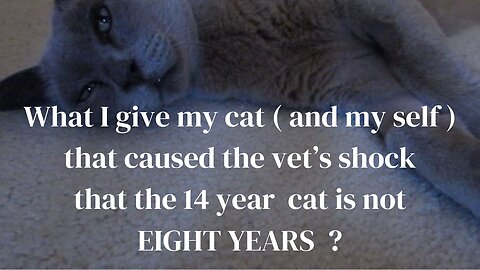 Vet said 14 year old cat was like an 8 year old, is this why ?