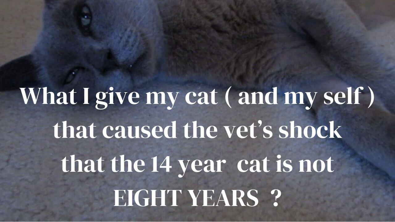 Vet said 14 year old cat was like an 8 year old, is this why ?