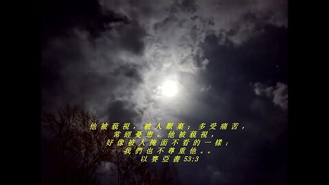 今天的每日聖經經文Jīntiān de měi rì shèngjīng jīng wén