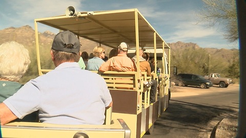 Sabino shuttles could go electric