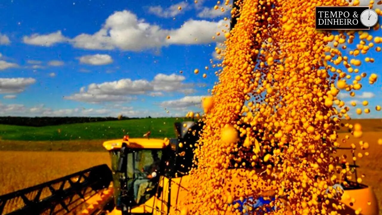 Soja: mercado de olho no clima para colheita nos EUA e plantio no Brasil