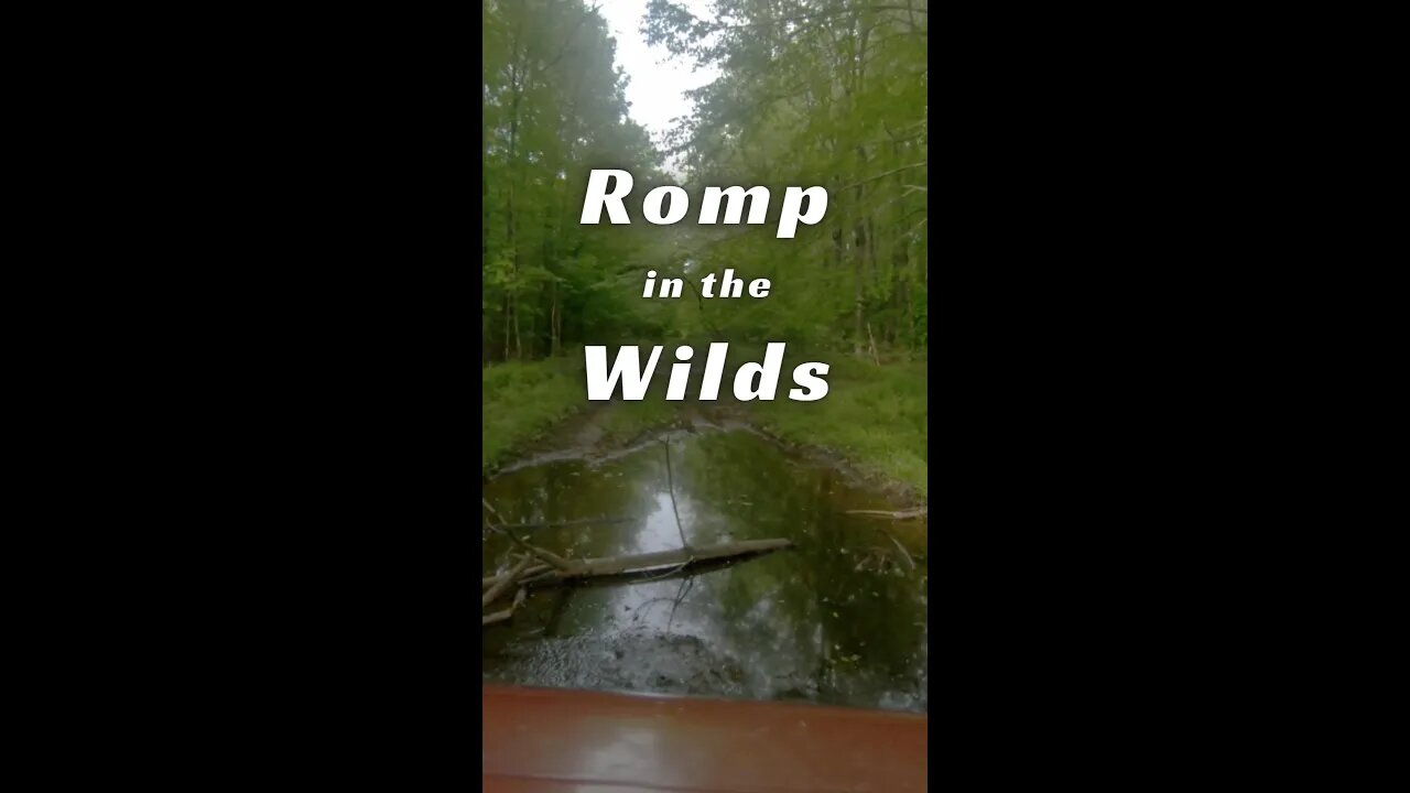 Romp in the Wilderness with Jeep Cherokee XJ - Hang on!