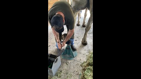 Farrier service