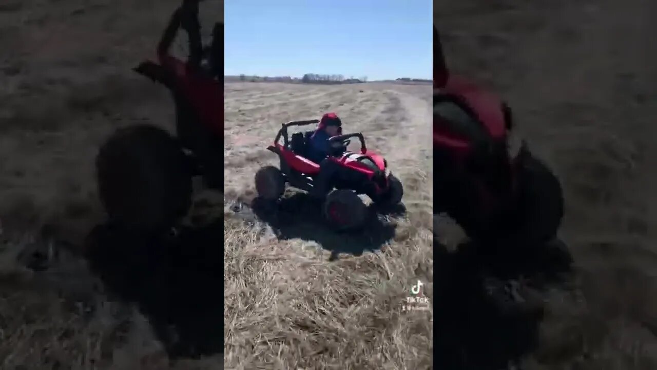 Our farm inspector is out checking pasture. #homestead #freedom