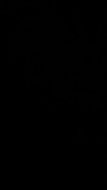 Real estate boom under Trump