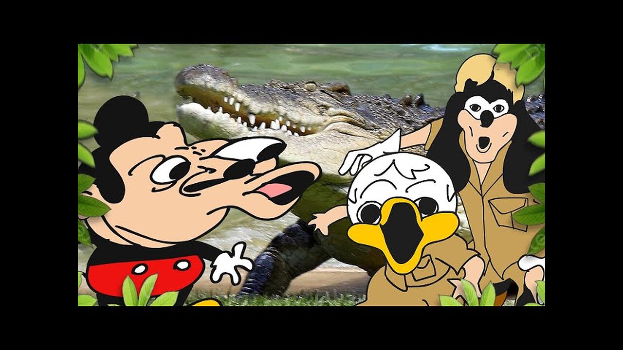 Mokey's Show - 427 - Crocodile | Exciting Adventures