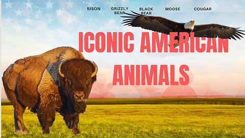Episode 10: North America's Big Five Animals #america #amazingfacts #wildlife #animals #nature