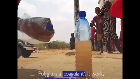 PolyGlu