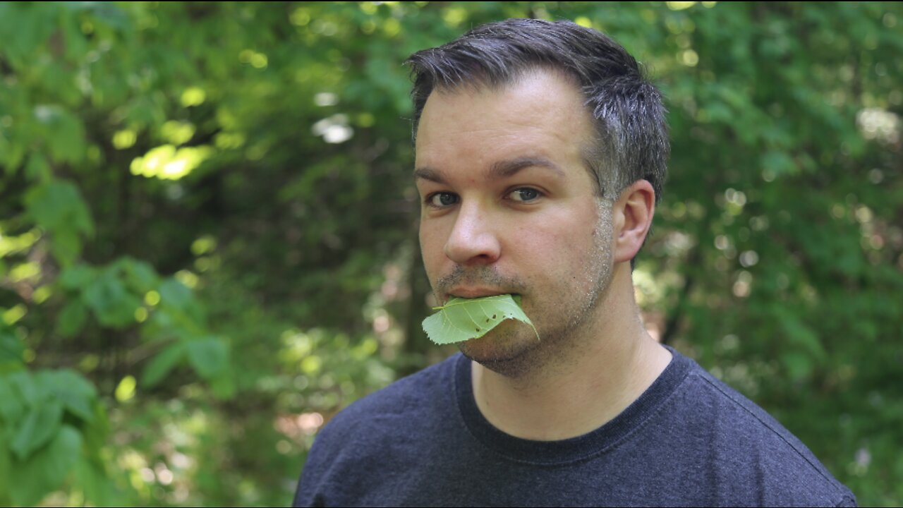 Searching for food with Wisconsin's expert forager