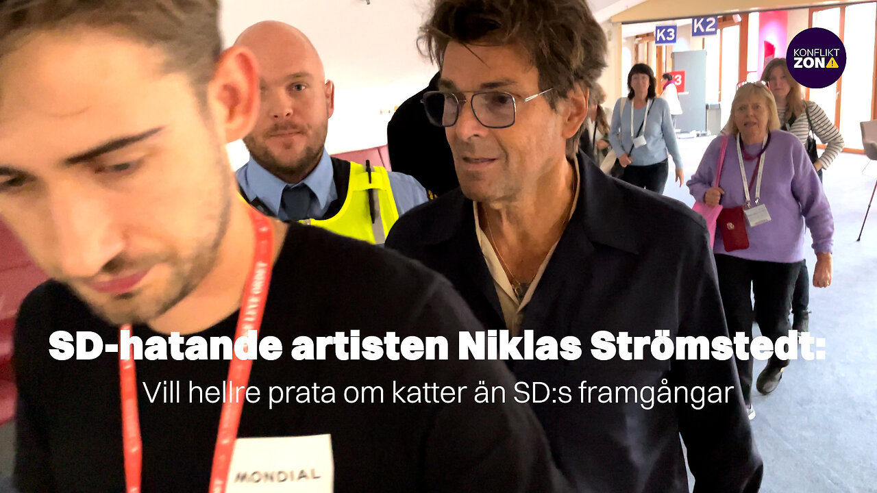 SD-hatande artisten Niklas Strömstedt: Vill hellre prata om katter än SD:s framgångar