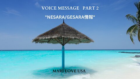 ボイスメッセージ パート2＞NESARA/GESARA情報