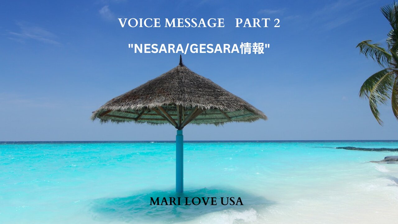 ボイスメッセージ パート2＞NESARA/GESARA情報