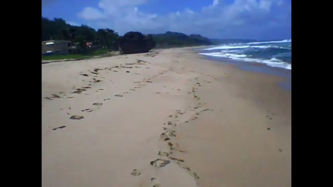 Barbados By a 13th generation 100%Barbadian (White Bajan)