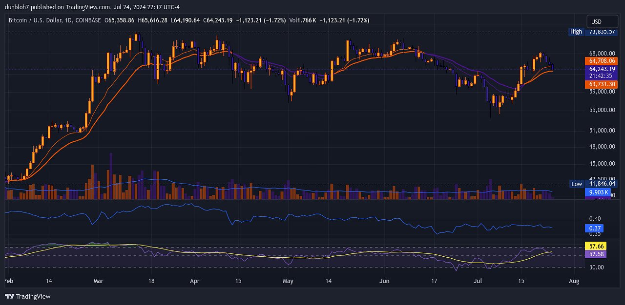 Bitcoin (BTC) TradingView Chart compared to the USD.